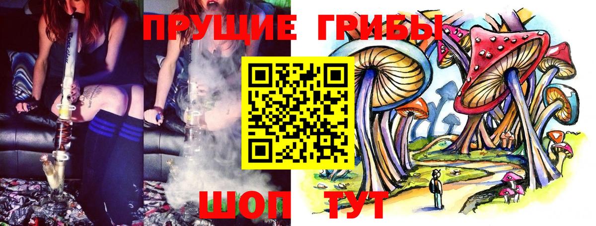 Псилоцибиновые грибы Cubensis Дедовск